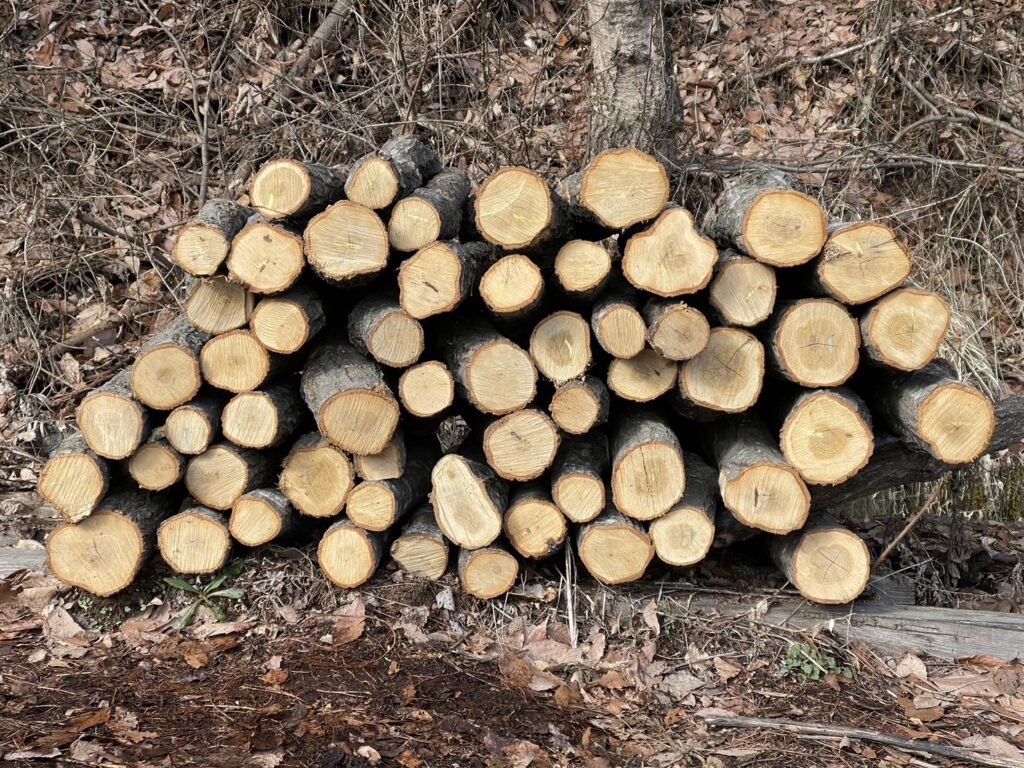 販売事業 » 長野森林組合｜Nagano Forest Owners Cooperative Association
